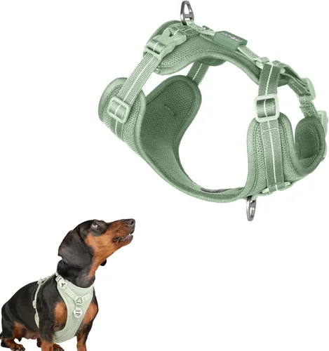 Miniatura 14 de Arnés reflectante para perro para todo tipo de clima, sin tirones, con código QR, antipérdida, ajustable, de liberación rápida, arnés acolchado