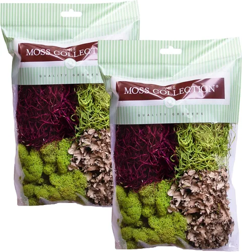 Miniatura 6 de Quality Growers - Paquete variado de la colección Moss - Musgo decorativo natural - Manualidades, decoración del hogar, proyectos de arte, diseño