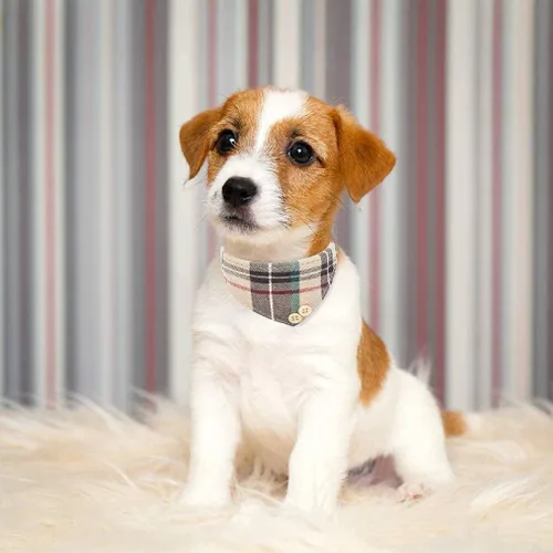 Miniatura 5 de EXPAWLORER Juego de collar y correa para perro - Corbata de moño clásica a cuadros para perro y collar bandana para perro con campana, correa