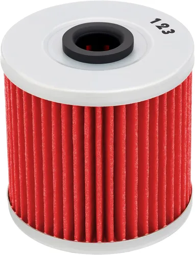 AHL Filtro de aceite 123 16099-004 para Kawasaki KLR250 KLR 250 1985-2005, KLR650 KLR 650 CAMO 650 2016-2017, KLX250 KLX 250 1979-1980, KSF250 Kg.
