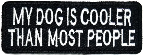 My Dog is Cooler Than Most People Wording Broma Divertido Eslogan Deportivo Biker Coser Parche Bordado Apliques Bordado Disfraz