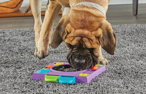 Miniatura 6 de Brightkins DJ Doggo - Comedero de rompecabezas – Cuencos de alimentación lenta para perros, juguetes de rompecabezas para perros, cuenco para perros