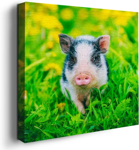 Miniatura 53 de Mavis Print - Lienzo decorativo para pared con diseño de conejo/conejo, 36 x 36 pulgadas, decoración de pared de animales impresos en HD y marco