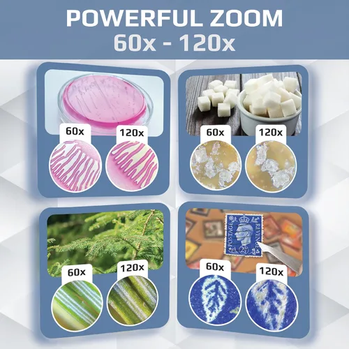 Miniatura 5 de Carson MicroBrite - Microscopio digital portátil de bolsillo para niños o adultos, zoom preciso de 60 x 120x, microscopio de mano con clip