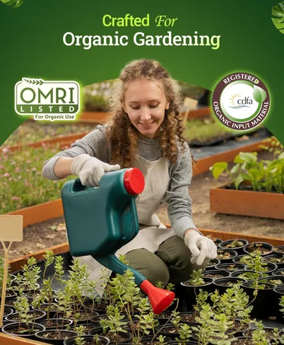 Miniatura 4 de FoxFarm Happy Frog Fertilizante para plantas amantes del ácido – Fertilizante de liberación lenta para azaleas, rododendros, arándanos y más