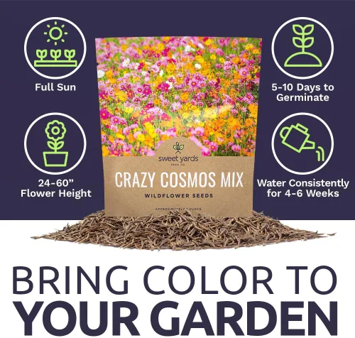 Miniatura 6 de Cosmos Seeds Mezcla de flores silvestres, paquete a granel de 1 onza, más de 5,000 semillas, especies mixtas de rosa, amarillo, naranja, rojo