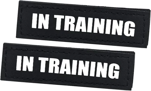 Miniatura 12 de Paquete de 2 parches para perros de servicio, parche de chaleco negro para perro en entrenamiento, parches de arnés para perros extraíbles
