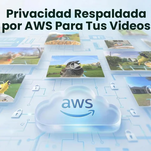 Miniatura 5 de NETVUE por Birdfy Alimentador Inteligente para Pájaros con Cámara AI Alimentado por Energía Solar, Observación de Aves Silvestres Inalámbrica de Azul