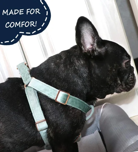 Miniatura 6 de ARING PET Arnés halter para perro, arnés de terciopelo para perro, arnés halter para perro sin tirones, arnés ajustable resistente para perros Verde