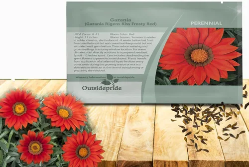 Outsidepride Gazania Kiss - Plantas de jardín tolerantes al calor y a la sequía, color rojo escarchado, 25 semillas