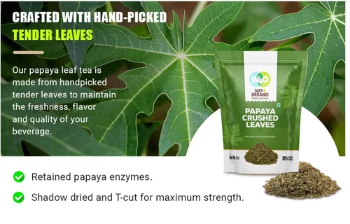 Miniatura 8 de Té de hoja de papaya de 8 onzas, secado de hojas verdes frescas, bueno para hacer té, hojas 100% sueltas (sin fruta, sin semillas) – Way4Organic