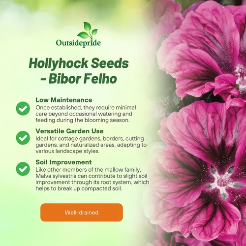 Miniatura 3 de Outsidepride Bibor Felho - Semillas de Hollyhock francés – 50 piezas de semillas perennes de color morado veteado y magenta, semillas de flores