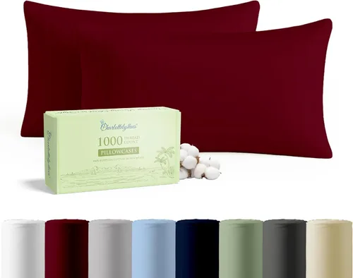 CharlottelyHues Juego de 2 fundas de almohada 100% algodón egipcio con almohadas peinadas de fibra larga para dormir, funda de almohada suave y