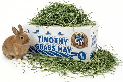 Miniatura 10 de High Desert Heno Timothy de segundo corte para conejos, cobayas, chinchillas y mascotas pequeñas, hojas suaves para la alimentación diaria