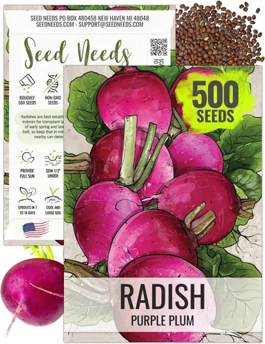 Miniatura 13 de Seed Needs Semillas de rábano para plantar rábanos sandía, reliquia sin OMG y sin tratar, cultiva un huerto cultivado en casa, cultivos para clima