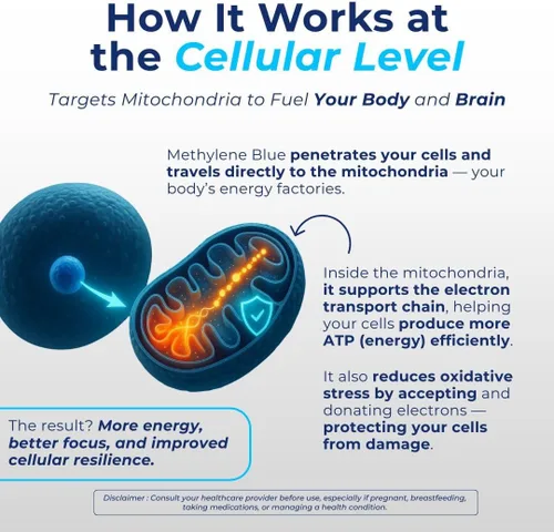 Miniatura 6 de Vital Methylene Blue Drops 1% - Grado farmacéutico azul de metileno para humanos, apoya la energía celular y la función cognitiva, vegano, sin OMG