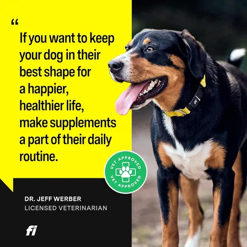 Miniatura 5 de Fi Suplemento en polvo 8 en 1 para perros Apoyo de salud para huesos, piel, digestión, inmunidad y suplemento articular para perros Formulado