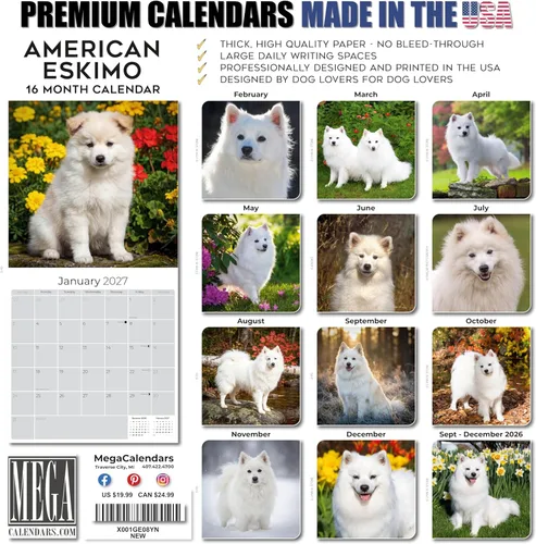 Miniatura 6 de Razas de Perros 2017 ESKIMO AMERICANO