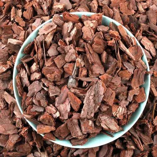 Miniatura 15 de AVALUTION Corteza para macetas de orquídeas: corteza de orquídea orgánica de 3 cuartos para plantas, todos los chips de madera de corteza de pino