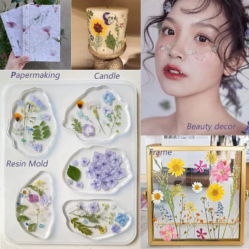 Miniatura 5 de 100 piezas de flores y hojas secas prensadas reales, herbario de plantas naturales para moldes de resina DIY, fabricación de joyas y manualidades