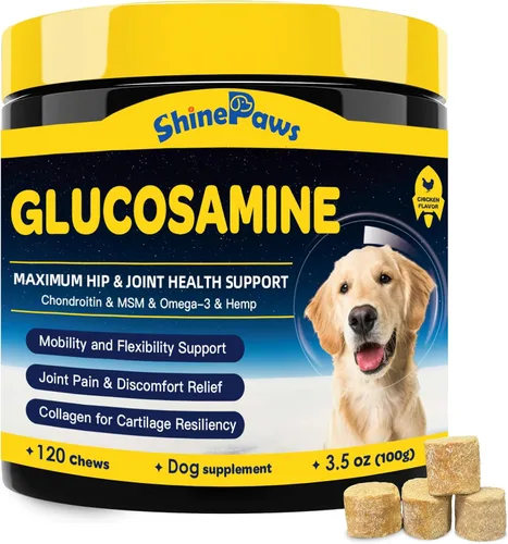 Glucosamina para perros – Suplemento articular para perros – Condroitina, MSM, Omega-3, apoyo a la movilidad, cartílago, alivio del dolor en las
