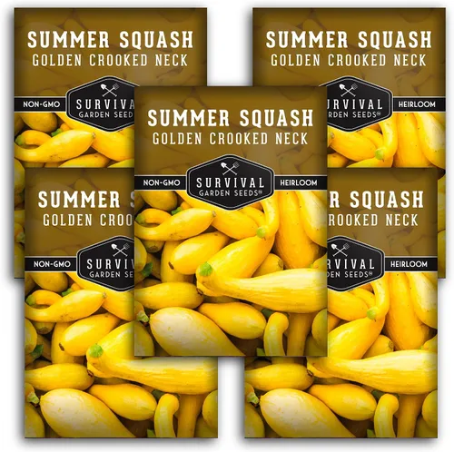 Miniatura 10 de Crookneck - Semillas de calabaza para plantar – Variedad de verano sin OMG – Vegetal de crecimiento rápido de alto rendimiento – Semillas de jardín