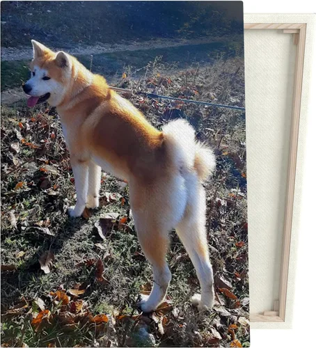 Miniatura 3 de lepni.me Crea tu propio lienzo personalizado con fotos familiares, decoración estética de pared, regalo personalizado para ella, él o amigos