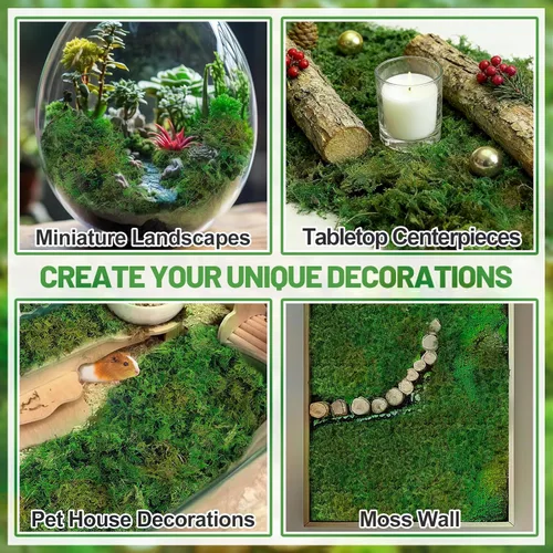 Miniatura 5 de Paquete jumbo de musgo verde natural de 35 onzas para plantas de interior, musgo real de bosque seco a granel para manualidades, jardines de hadas