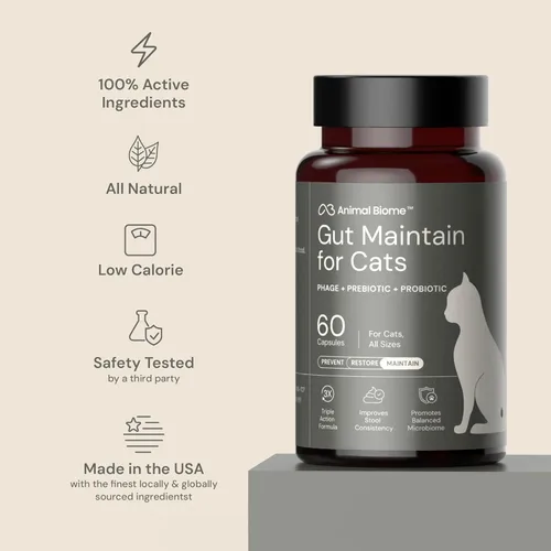 Miniatura 5 de AnimalBiome KittyBiome - Probióticos para gatos con S Boulardii (30 cápsulas) KittyBiome - Mantenimiento intestinal de triple acción fago