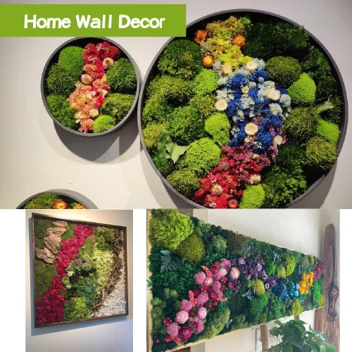 Miniatura 8 de Musgo preservado, musgo de 3.5 onzas para manualidades, decoración de musgo sintético, musgo verde natural para decoración de pared de floristería