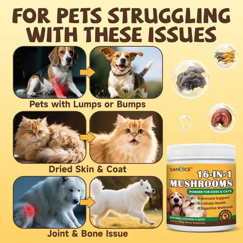 Miniatura 3 de Hongo de cola de pavo para perro con MSM para la salud de las articulaciones, hongo para perros y gatos, bultos y protuberancias, colágeno