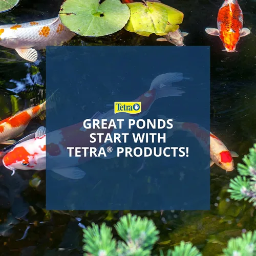 Miniatura 9 de Bomba de agua TetraPond para el jardín