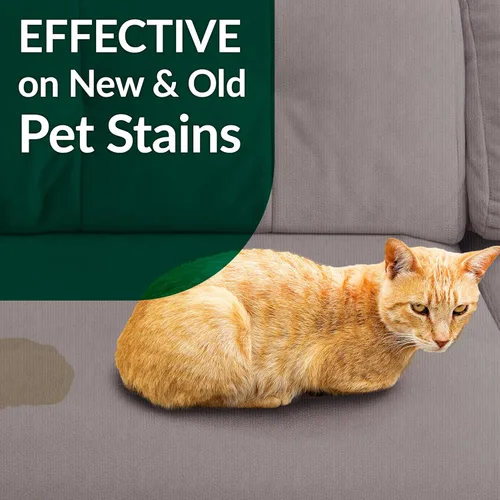 Miniatura 7 de Simple Green Removedor de manchas y olores para gatos, limpiador enzimático para orina, heces, sangre, vómito
