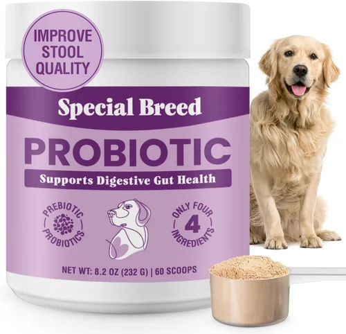 Probióticos para perros – Probióticos en polvo para perros para la salud digestiva, apoyo intestinal y refuerzo inmunológico – Mezcla premium con