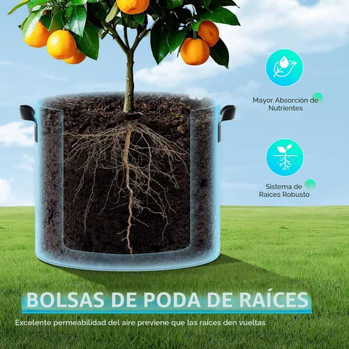 Miniatura 6 de Land Guard Paquete de 10 bolsas de cultivo de tela de 10 galones, macetas de jardín no tejidas gruesas, bolsas de cultivo con asas, color negro