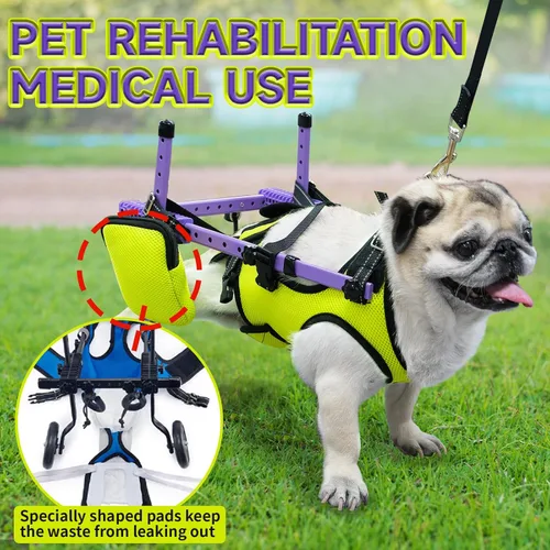 Miniatura 3 de Silla de ruedas para mascotas para patas traseras, adecuada para patas traseras, silla de ruedas para perros discapacitados, movilidad para caminar