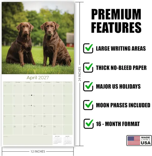 Miniatura 5 de Calendario de chocolate Labrador 2025 2026 – Calendario mensual de pared de raza de perro – 12 x 24 pulgadas abierto – Papel grueso sin sangrado