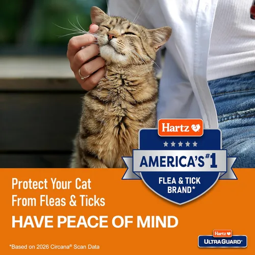 Miniatura 5 de Collar anti pulgas y garrapatas Hartz UltraGuard para gatos y gatitos, 7 meses de protección y prevención contra pulgas y garrapatas, blanco