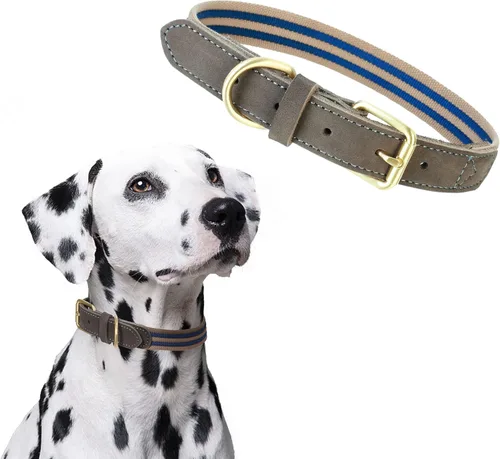 Miniatura 11 de Mile High Life Collares para perros, collares de algodón suave con hebilla de metal pesado, collar clásico para cachorros con puntas de cuero