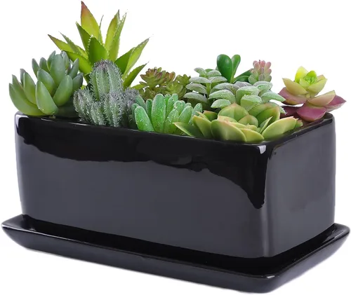 VanEnjoy - Maceta de Cerámica para Suculentas de 10 Pulgadas, Rectangular, Color Negro, con Bandeja de Cerámica, Decorativa, para Cactus y Flores