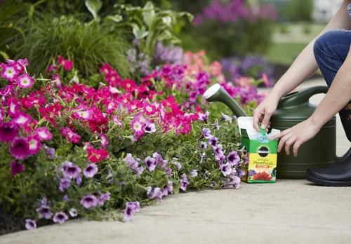 Miniatura 3 de Miracle-Gro Alimento soluble en agua para plantas multiusos - Fertilizante para todas las plantas de interior o exterior, incluyendo rosas, flores