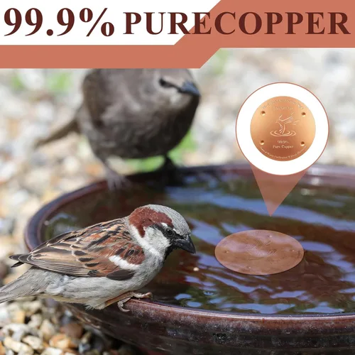 Miniatura 4 de MorningRo Disco de cobre para baño de pájaros de 4 pulgadas, 1 unidad de disco de purificación de baño de pájaros reforzado de 0.031 in de grosor