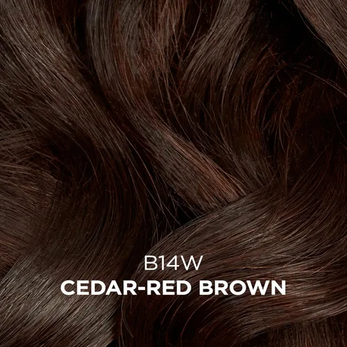Miniatura 3 de Clairol Professional Beautiful Collection Semi-Permanent Hair Color with Zero Damage for All Hair Textures Packaging May Vary 14W Cedro Rojo Marrón