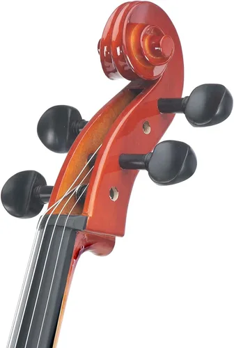 Miniatura 4 de Cecilio Violonchelo de tamaño completo 4/4 con estuche duro y suave, soporte, arco, colofonia, puente y juego extra de cuerdas, CCO-100