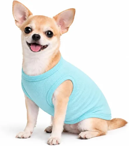 Miniatura 52 de Lovelonglong Ropa para mascotas de verano 2019, ropa para perro, camisetas en blanco, camisetas acanaladas, chalecos de hilo superior para perros