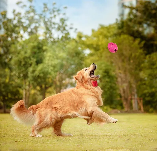 Miniatura 6 de AUSCAT Juguetes dispensadores de golosinas para perros, Dispensador de juguetes para perros de rompecabezas, Dispensador de golosinas para perros