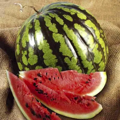 Semillas Sandía Carmesí Frutas Dulces No GMO Heirloom