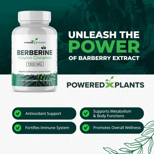 Miniatura 3 de Suplemento de berberina pura, 1300 mg de berberina con canela de Ceilán para el metabolismo y el apoyo del sistema inmunológico, 1 paquete de 180