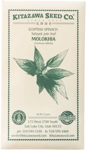 Kitazawa Seed Company Semillas de espinaca egipcia – Molokhia, malva judía, malva de yute, Corchorus olitorius – Paquete de 0.07 oz ~ 1,000 semillas
