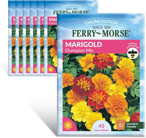 Miniatura 20 de Ferry-Morse Online Edition Tomato Supersweet 100 semillas híbridas – Alta tasa de germinación, sin OGM – Paquete de 8 Tomato Supersweet 100 Hybrid
